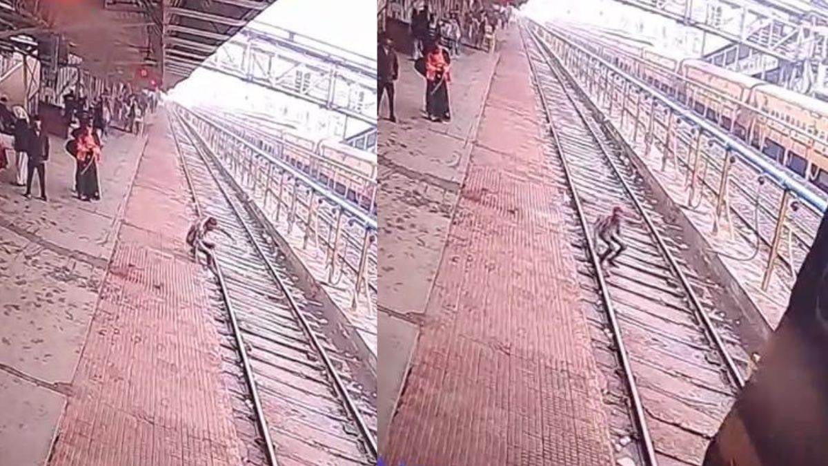 Bina Railway Station पर आंख में पट्टी बांधी और कूद गया ट्रेन के सामने, जेब से मिली इस स्टेशन की टिकट