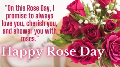 Happy Rose Day 2023 वैलेंटाइन सप्ताह की शुरुआत आज 7 फरवरी को रोज डे