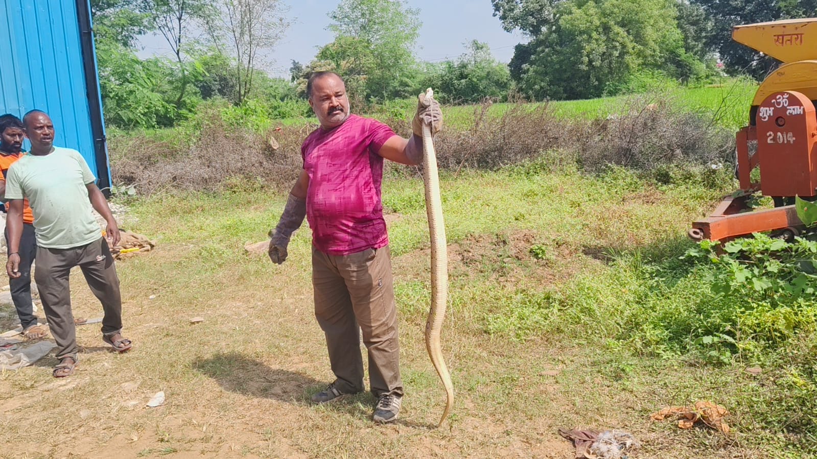 सर्प मित्र सतीश सोनी ने पकड़ा जहरीला रसल वाइपर सांप, सुरक्षित जंगल मे छोड़ा