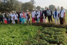 स्व सहायता समूह की महिलाओं को डेयरी एवं जैविक कृषि फार्म का अवलोकन कराया गया